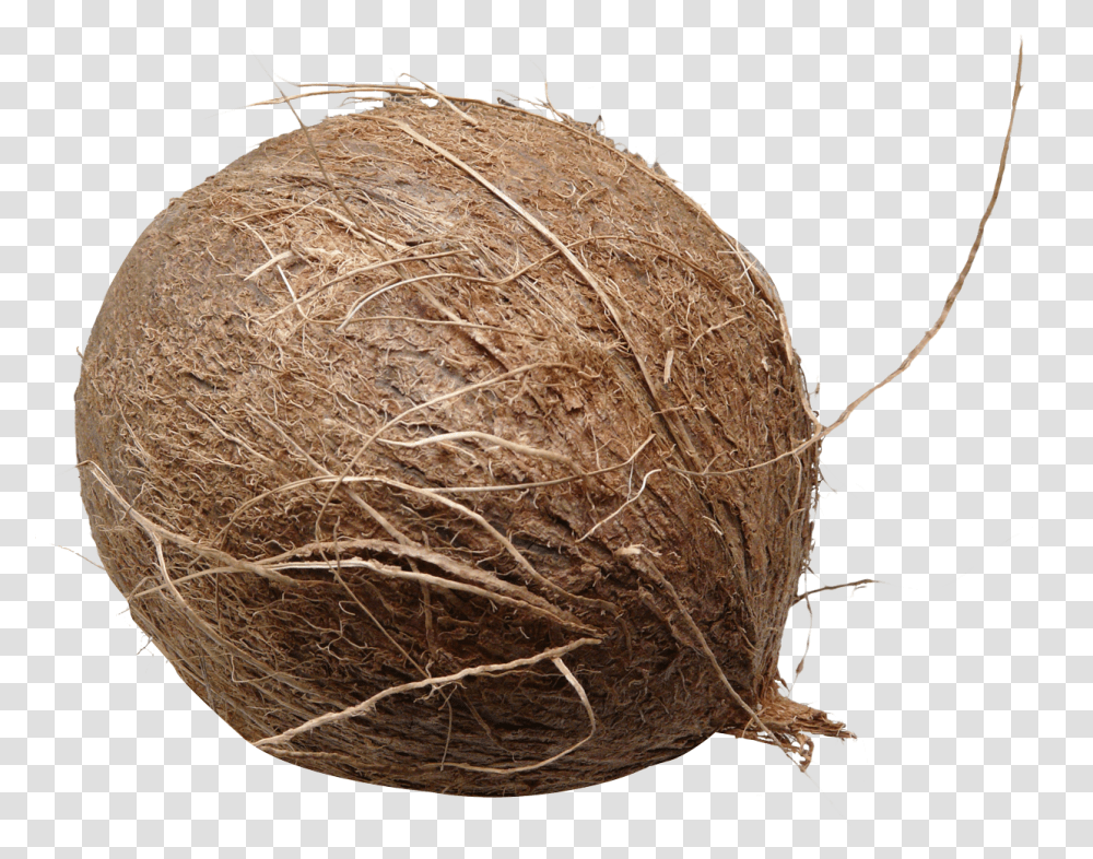 Coconut Image, Fruit, Plant, Vegetable, Food Transparent Png