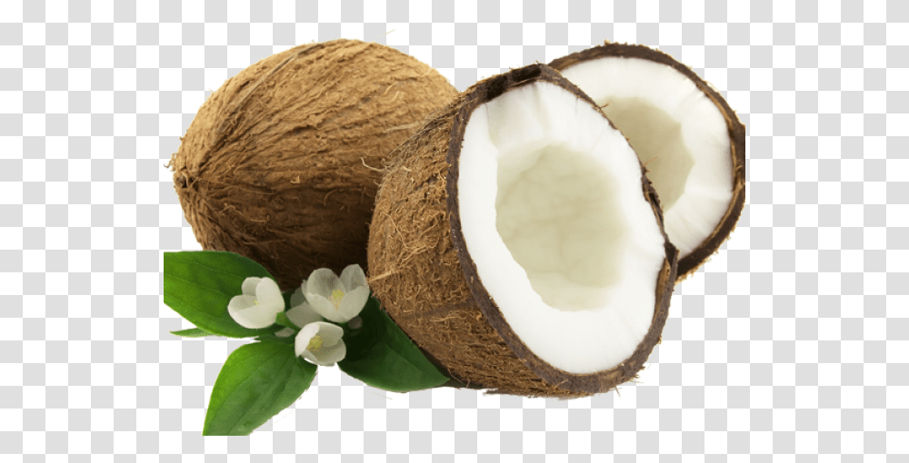 Coconut Images 8 Design Coconut Water Label, Plant, Vegetable, Food, Fruit Transparent Png