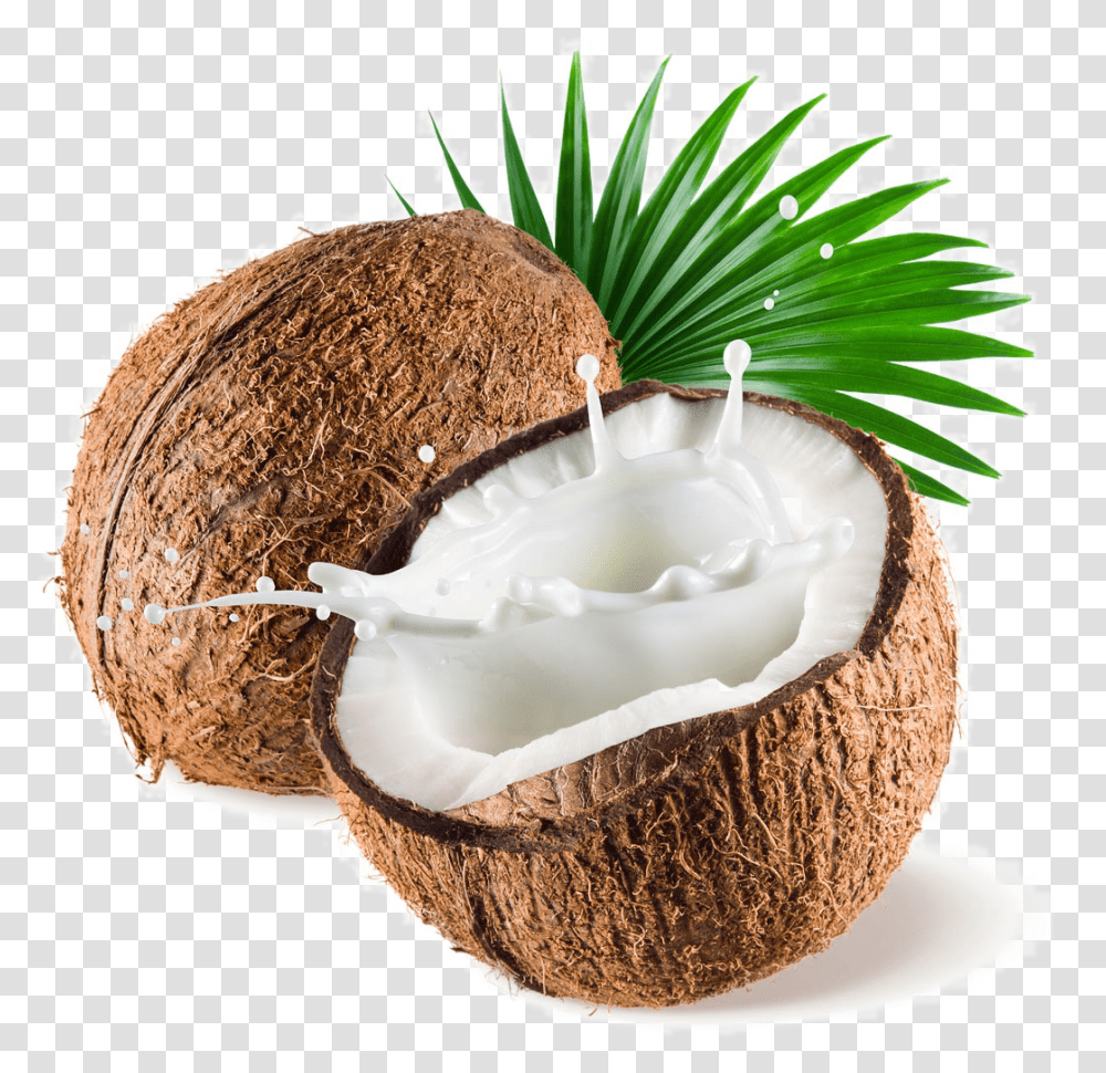 Coconut Images Background Coconut, Plant, Vegetable, Food, Fruit Transparent Png