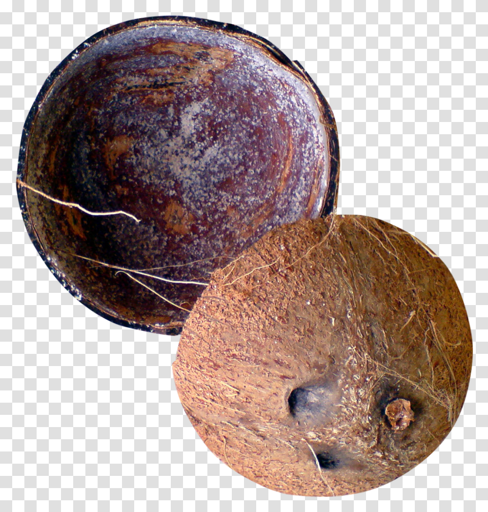 Coconut Images Coconut Shell, Plant, Fruit, Food, Astronomy Transparent Png