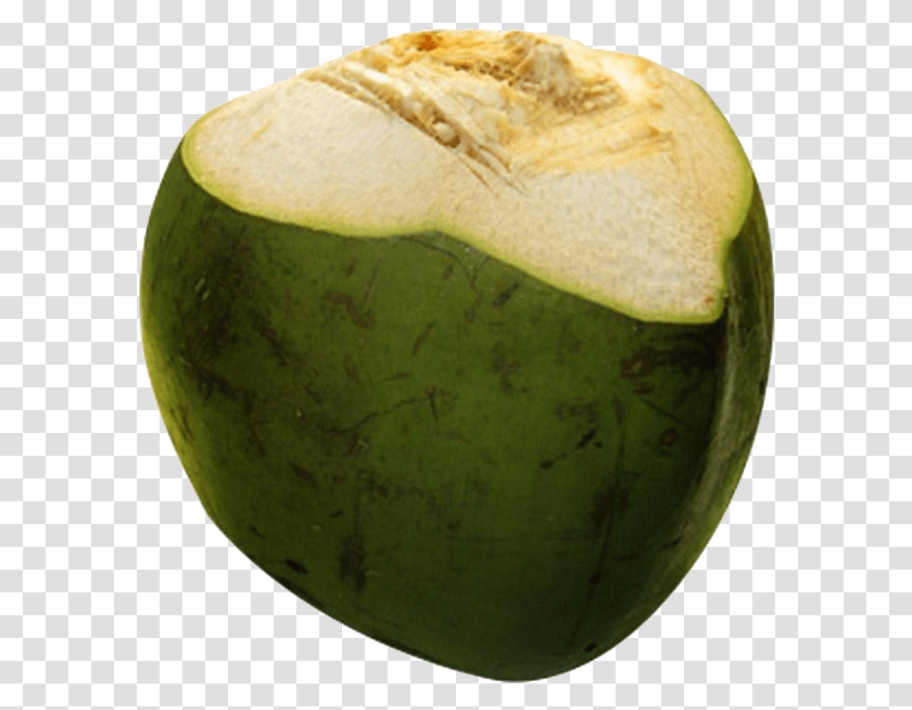 Coconut Images Free Download Green Coconut, Plant, Tennis Ball, Sport, Sports Transparent Png