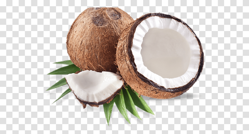 Coconut Images, Plant, Vegetable, Food, Fruit Transparent Png