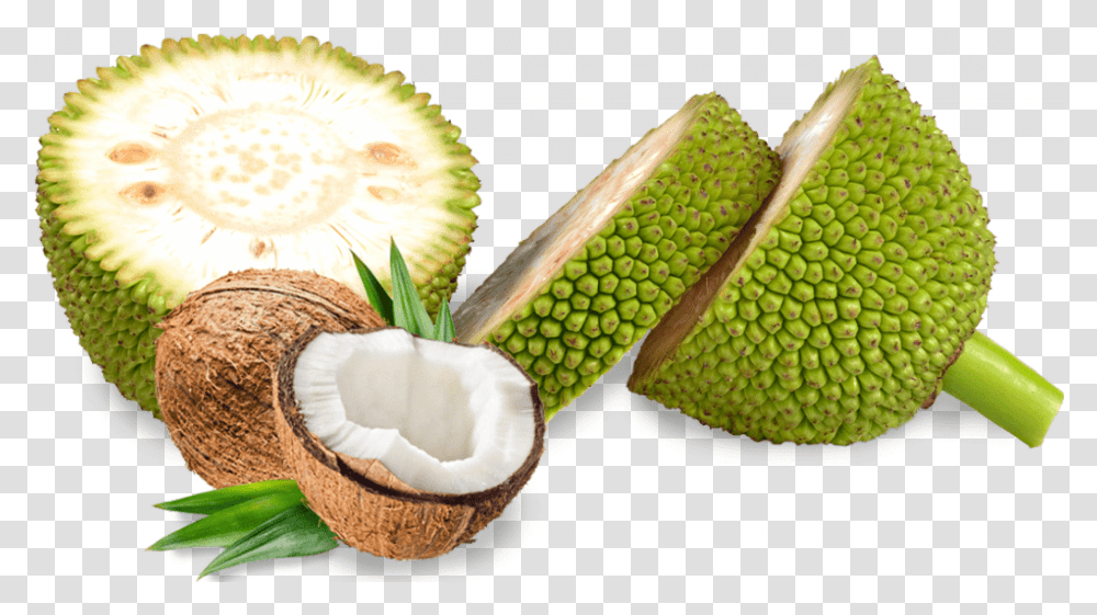 Coconut Jackfruit, Plant, Food, Snake, Reptile Transparent Png