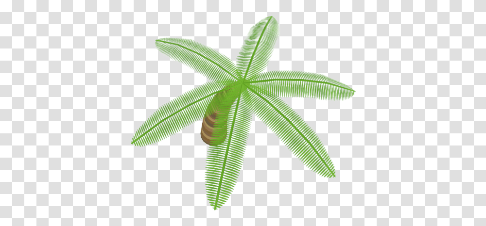 Coconut, Leaf, Plant, Bird, Animal Transparent Png