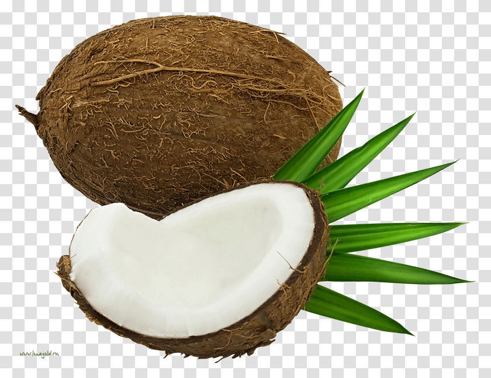 Coconut Oil Clipart Kokos Kartinka, Plant, Vegetable, Food, Fruit Transparent Png