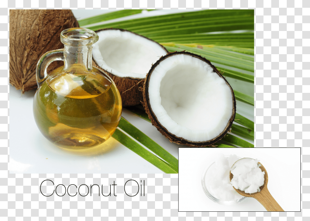 Coconut Oil Coco Y Aceite De Coco Transparent Png
