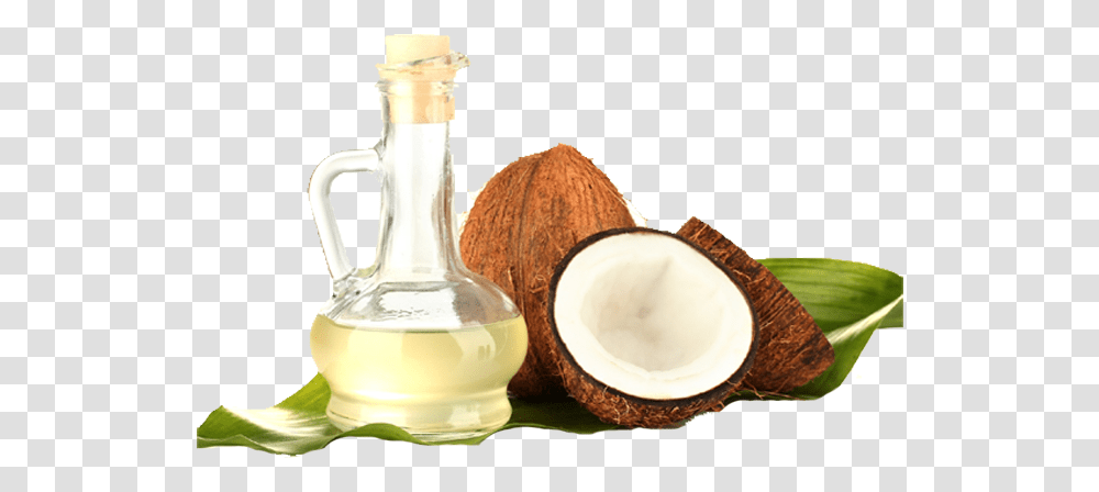 Coconut Oil Coconut Carrier Oil, Plant, Vegetable, Food, Fruit Transparent Png