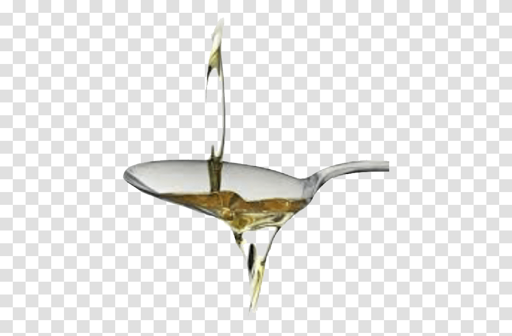 Coconut Oil Drop, Plant, Food, Droplet, Cocktail Transparent Png