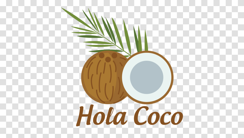 Coconut Oil Hair Mask Hola Coco Free Shipping, Plant, Tree, Conifer, Food Transparent Png
