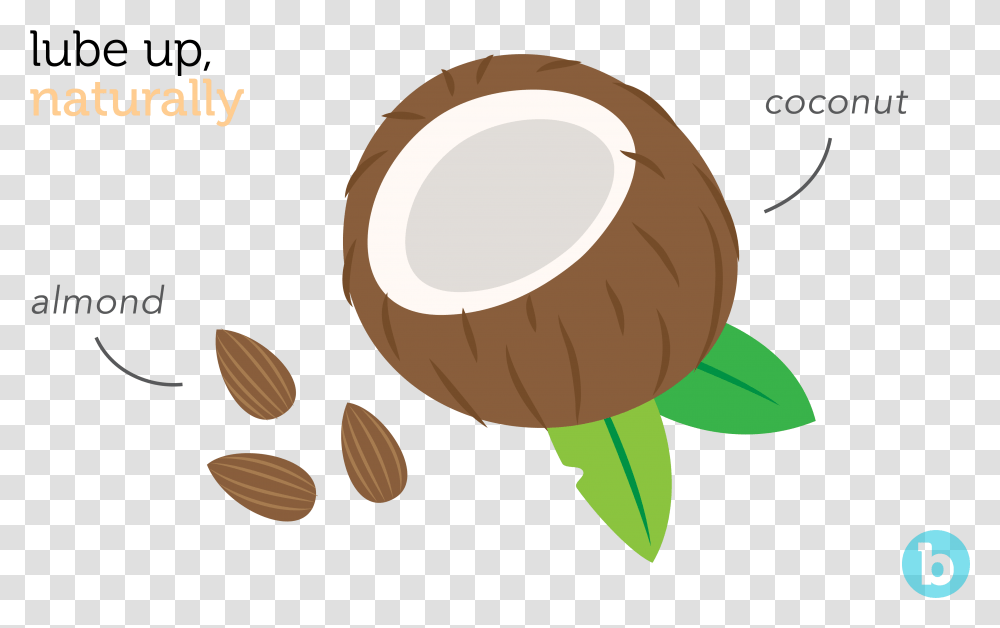 Coconut Oil Is Often Considered As The Best Lube For Illustration, Plant, Vegetable, Food, Fruit Transparent Png