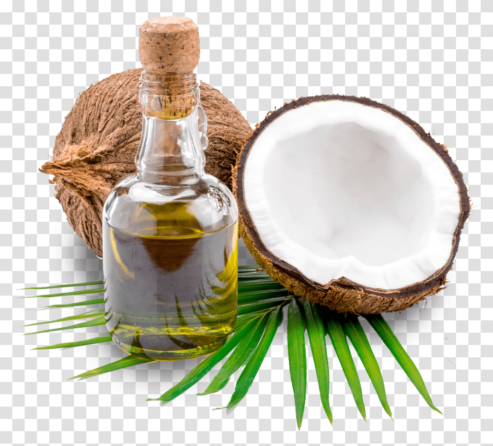 Coconut Oil, Plant, Vegetable, Food, Fruit Transparent Png