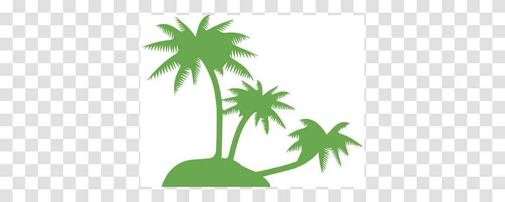Coconut Palm Plant, Tree, Palm Tree, Arecaceae Transparent Png