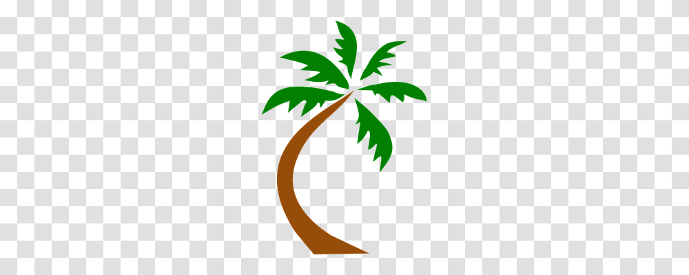 Coconut Palm Holiday, Leaf, Plant, Tree Transparent Png