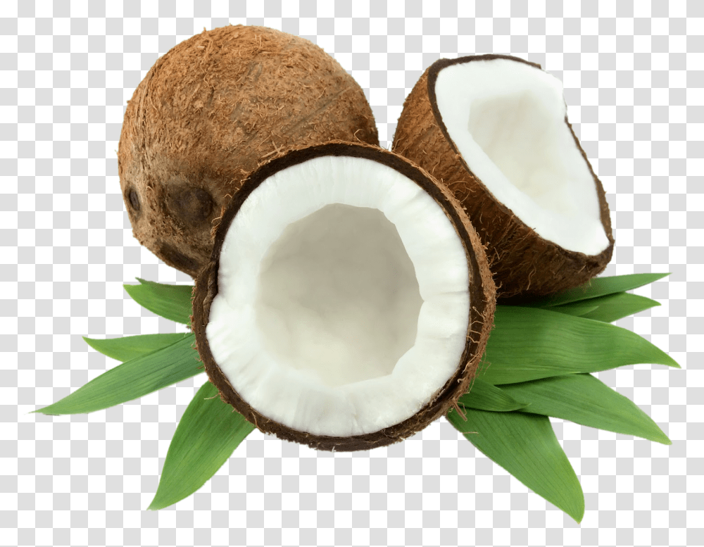 Coconut, Plant, Vegetable, Food, Fruit Transparent Png