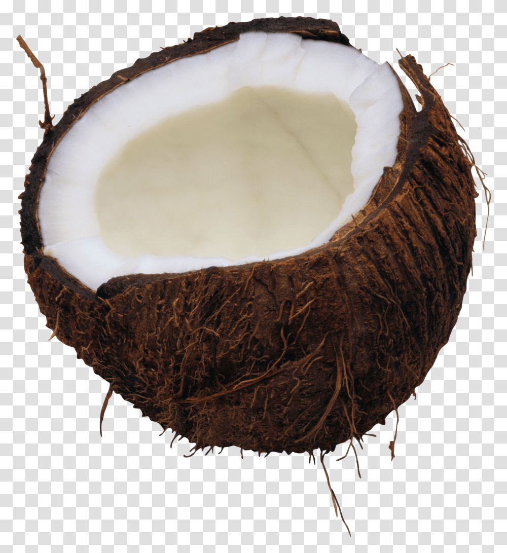 Coconut, Plant, Vegetable, Food, Fruit Transparent Png