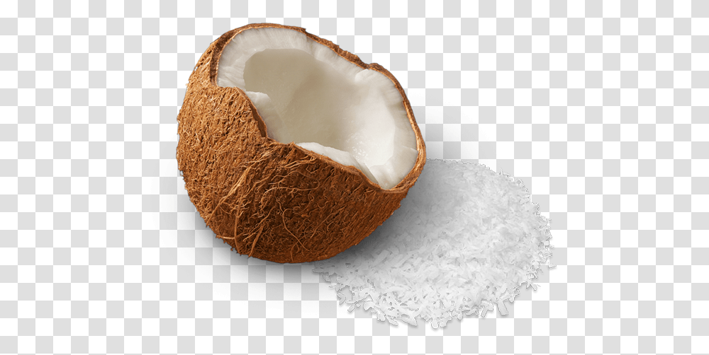 Coconut, Plant, Vegetable, Food, Fruit Transparent Png