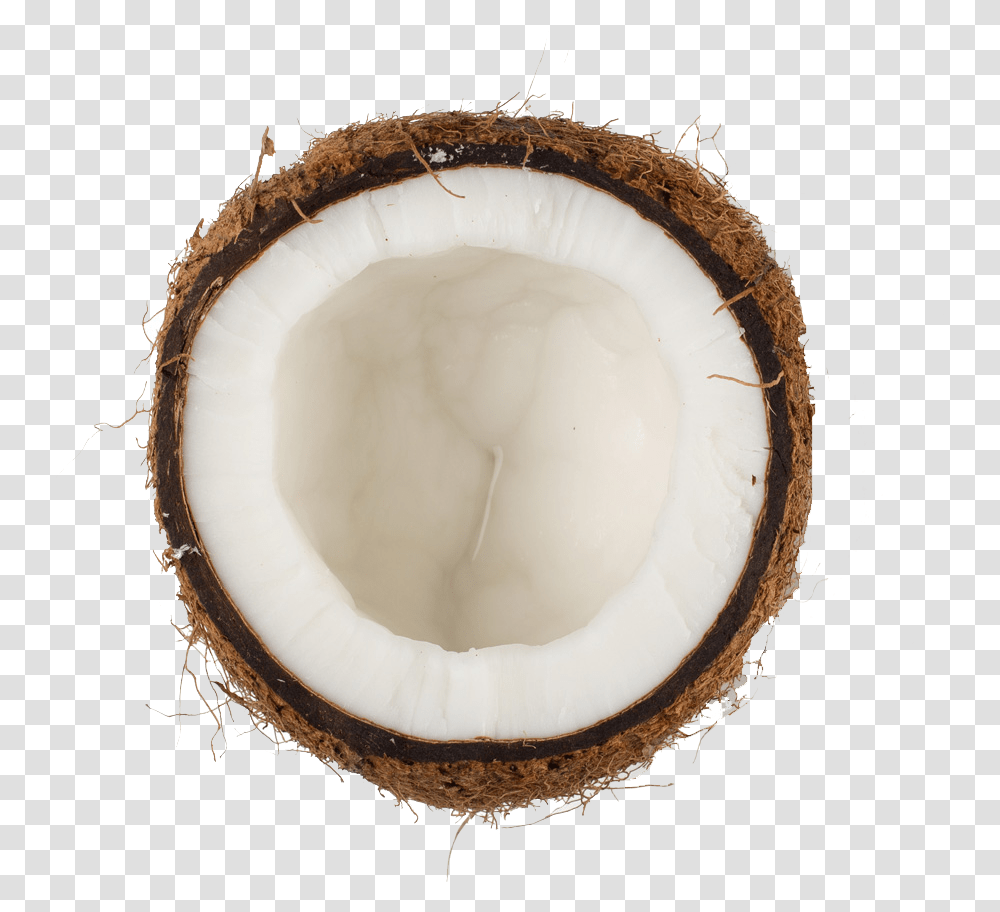 Coconut, Plant, Vegetable, Food, Fruit Transparent Png