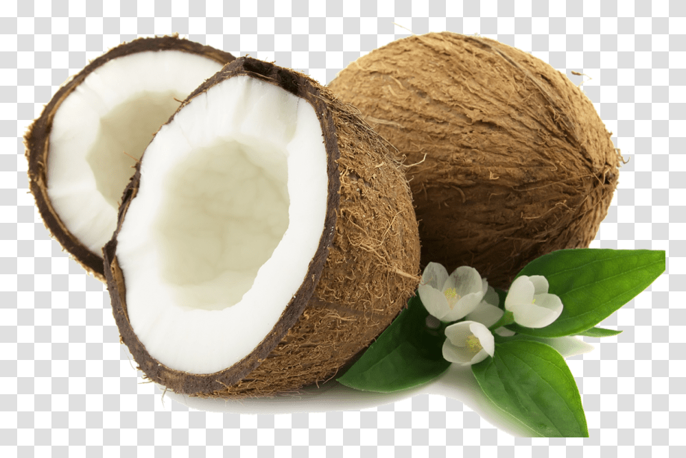 Coconut, Plant, Vegetable, Food, Fruit Transparent Png