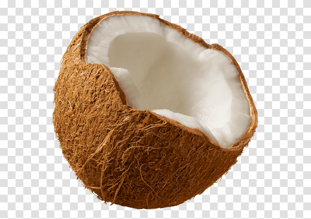 Coconut, Plant, Vegetable, Food, Fruit Transparent Png