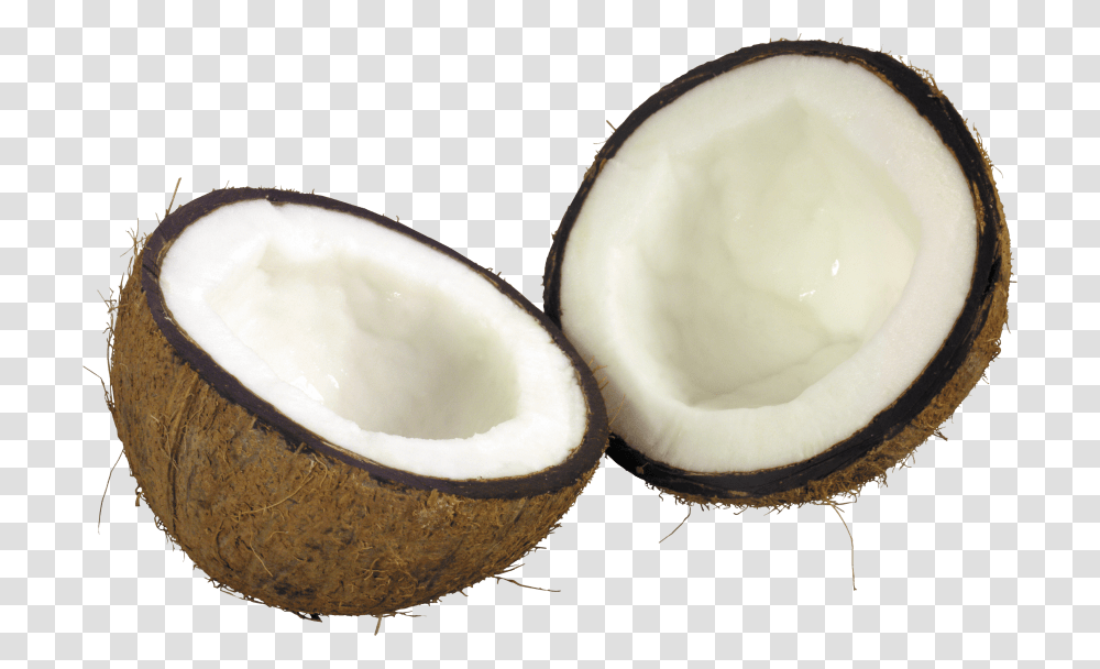 Coconut, Plant, Vegetable, Food, Fruit Transparent Png