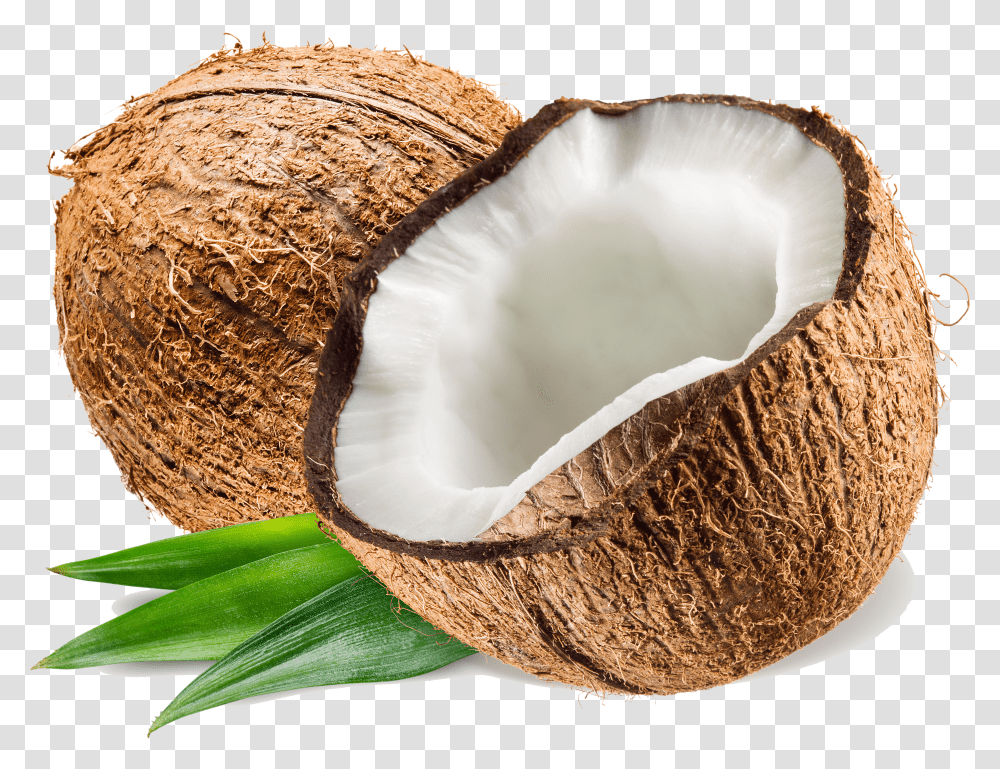 Coconut Pluspng Transparent Png