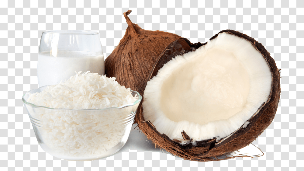 Coconut Products Yga Holdings Products Of Coconut Tree, Plant, Vegetable, Food, Fruit Transparent Png