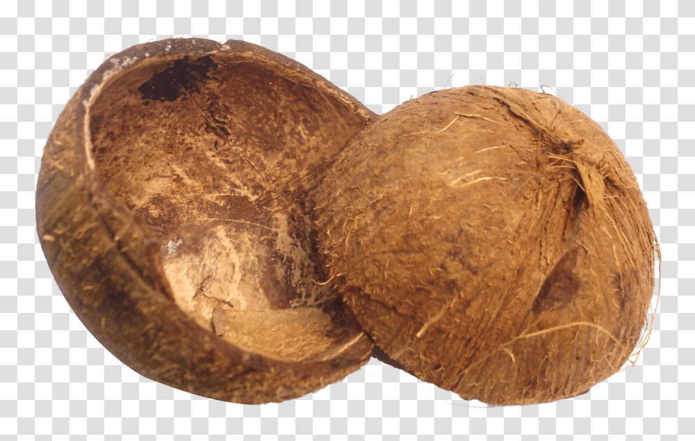 Coconut Shell Image, Fruit, Plant, Vegetable, Food Transparent Png