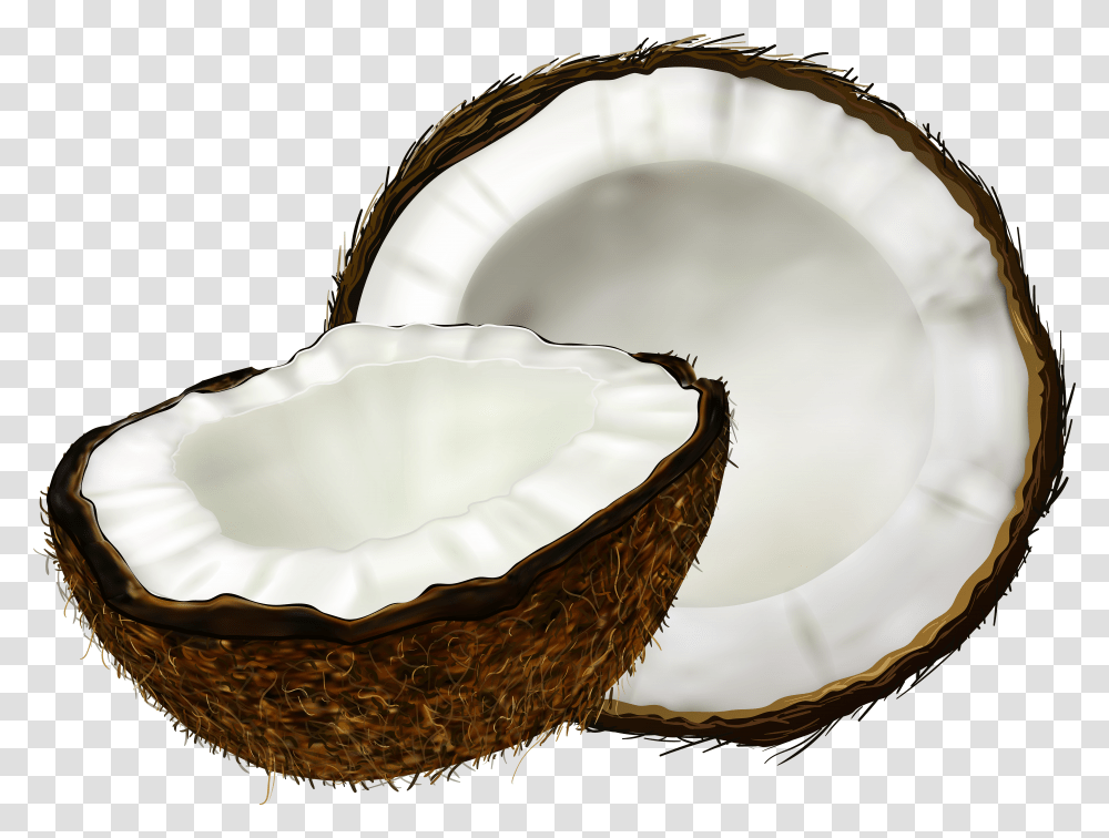 Coconut Transparent Png