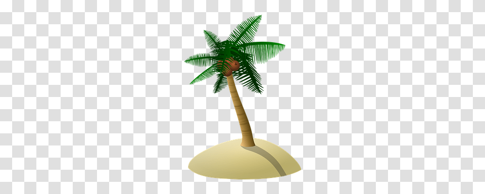 Coconut Tree Nature, Pinata, Toy, Plant Transparent Png