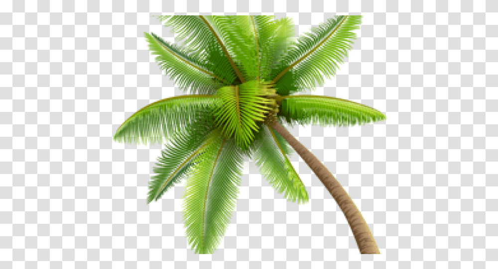 Coconut Tree Animated Gif, Leaf, Plant, Green, Fern Transparent Png