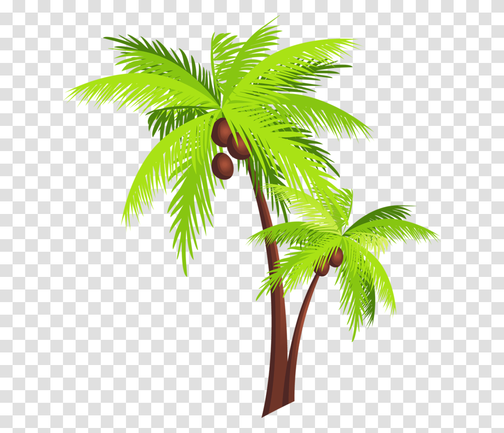 Coconut Tree Clipart, Plant, Leaf, Palm Tree, Vegetation Transparent Png