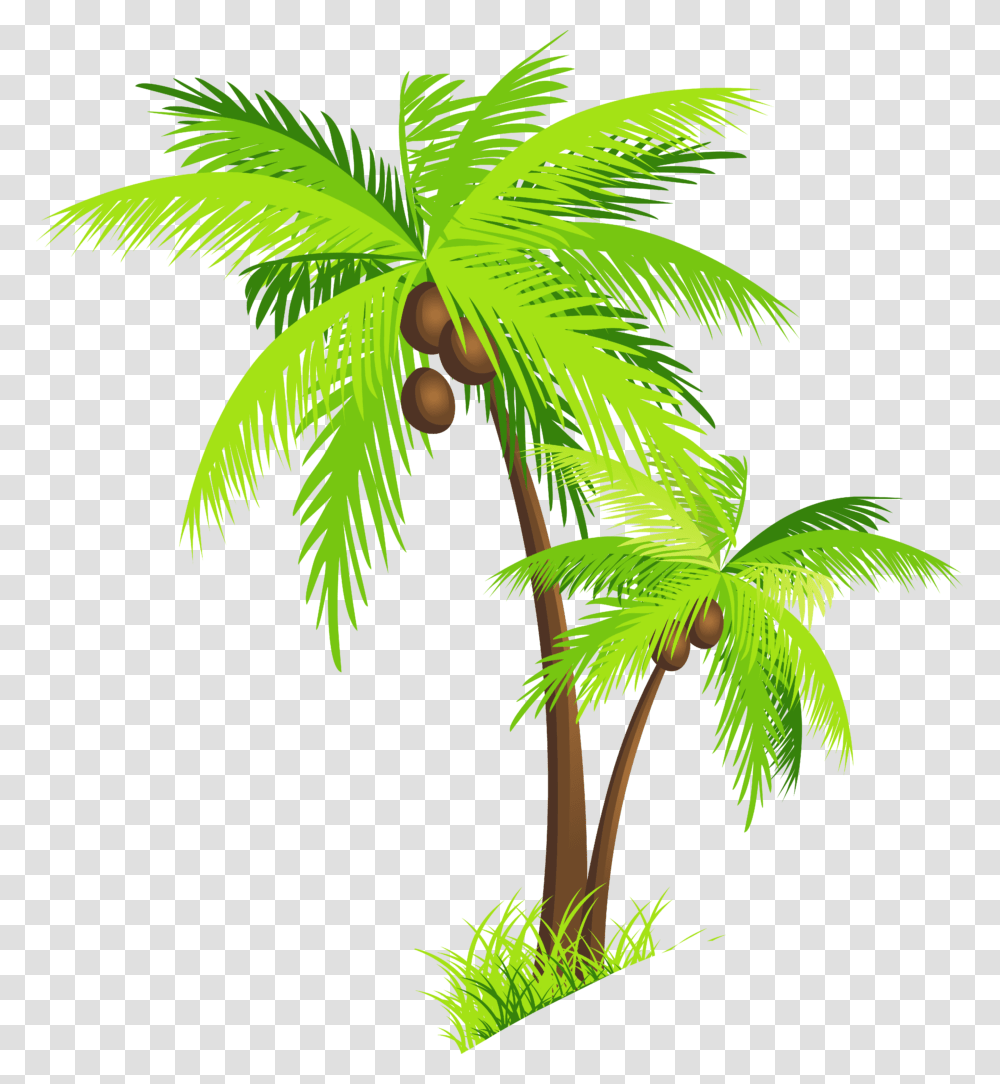 Coconut Tree Clipart, Plant, Palm Tree, Leaf, Vegetation Transparent Png