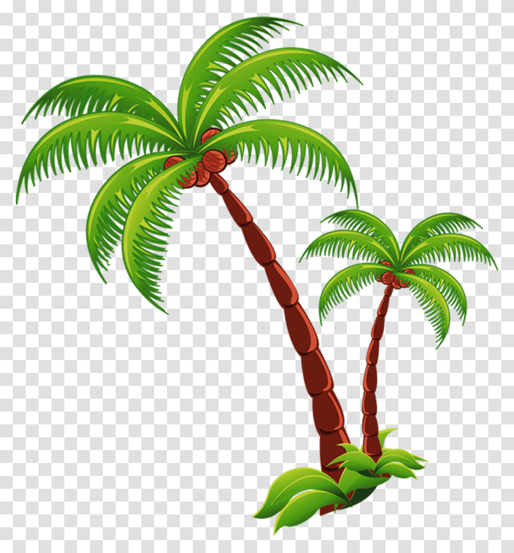 Coconut Tree Download Coconut Tree, Palm Tree, Plant, Arecaceae, Fungus Transparent Png