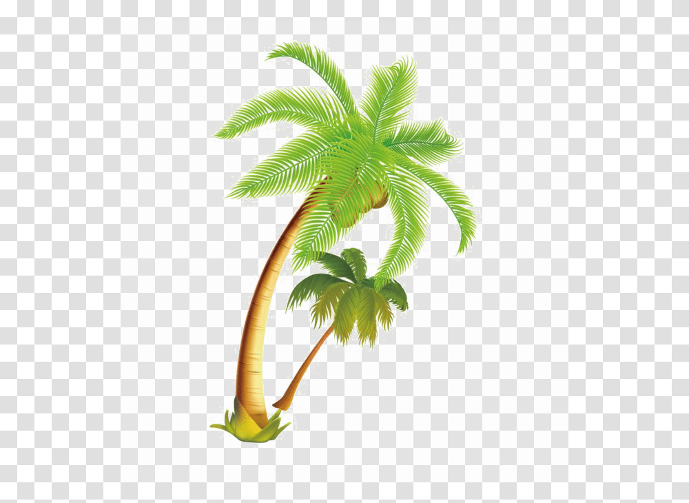 Coconut Tree Download Image Arts, Palm Tree, Plant, Arecaceae, Leaf Transparent Png