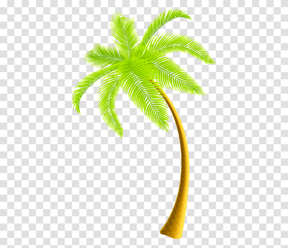 Coconut Tree Download, Leaf, Plant, Green, Bird Transparent Png