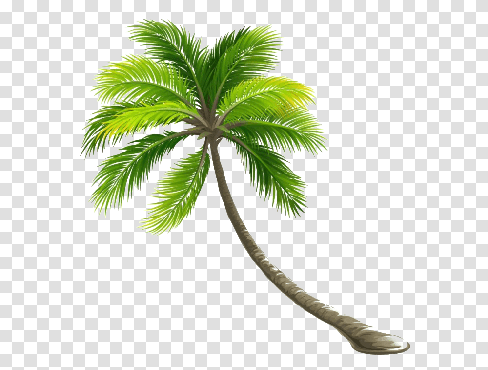 Coconut Tree File All Palm Tree Background, Plant, Arecaceae, Leaf, Fern Transparent Png