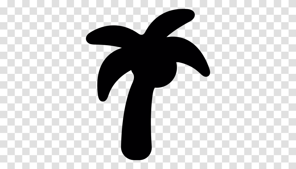 Coconut Tree Icon, Silhouette, Flare, Light, Photography Transparent Png