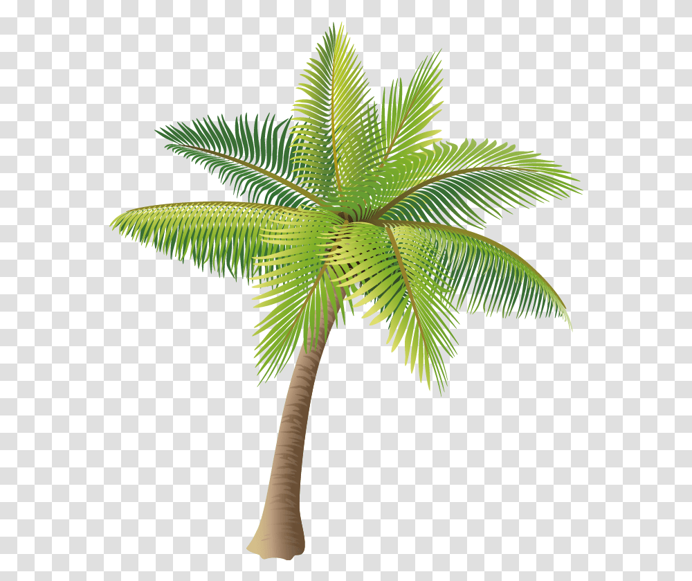 Coconut Tree Images Arts Coconut Tree Background, Plant, Palm Tree, Arecaceae, Leaf Transparent Png