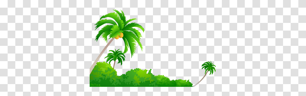 Coconut Tree Images Free Download, Green, Plant Transparent Png