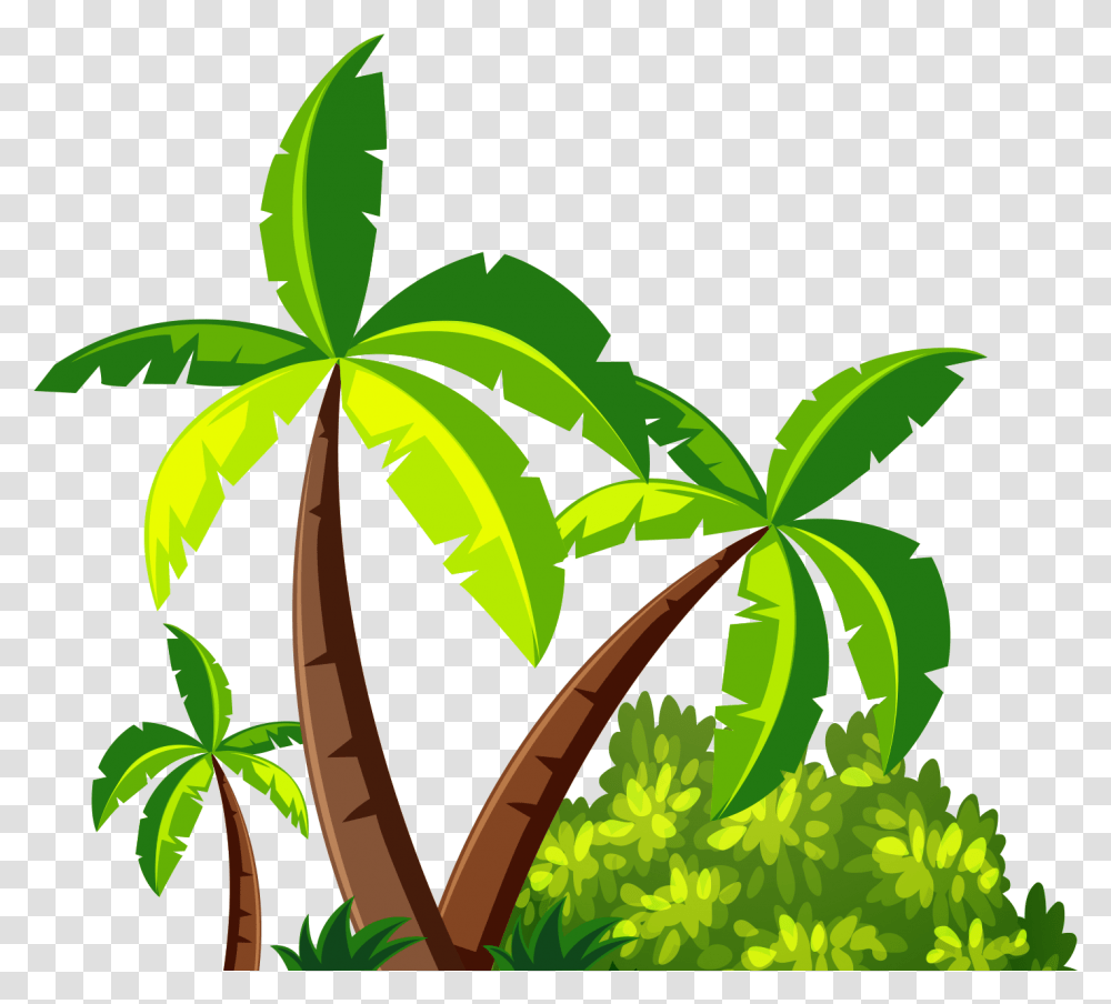 Coconut Tree Leaf Images Collection Palm Leaves, Vegetation, Plant, Green, Jungle Transparent Png