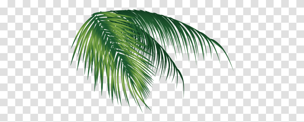 Coconut Tree Leaf, Plant, Vegetation, Green, Bird Transparent Png