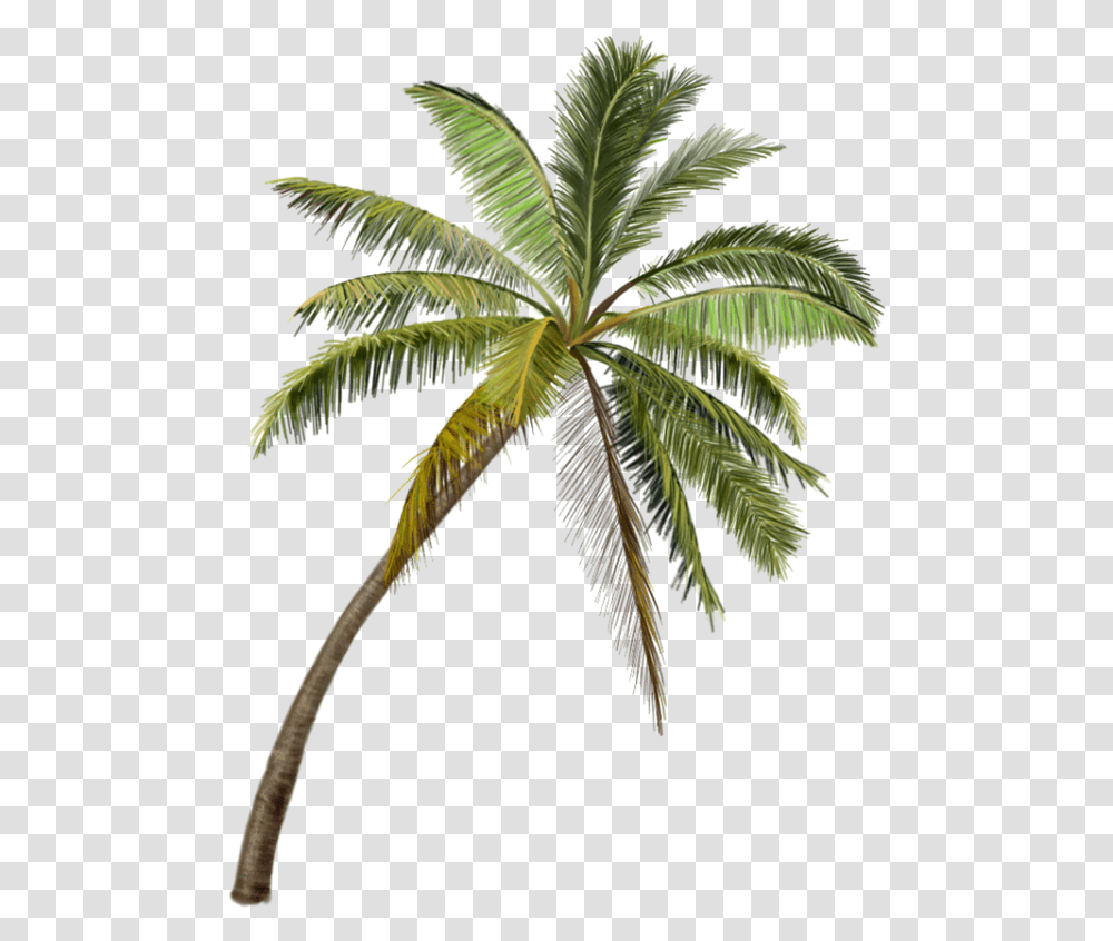 Coconut Tree Painting, Green, Leaf, Plant, Palm Tree Transparent Png