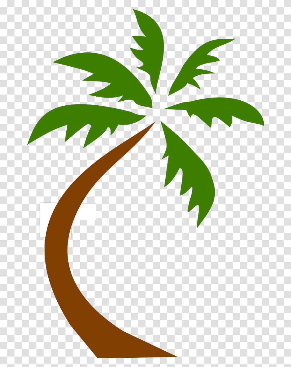 Coconut Tree Tropical Palms Backgrounds Palm Logo, Plant, Leaf, Weed, Hemp Transparent Png