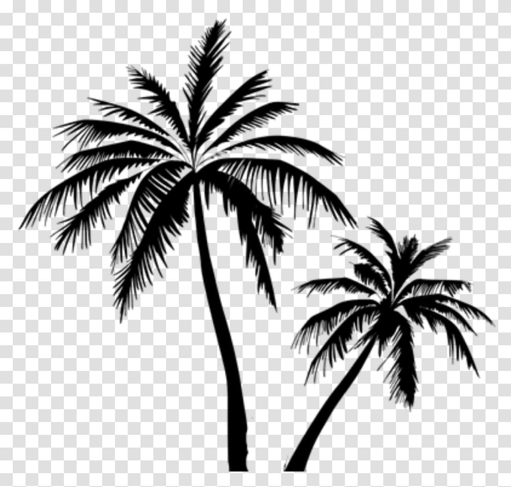 Coconut Tree Vector Free Clipart Download Coconut Tree Vector, Gray, World Of Warcraft Transparent Png