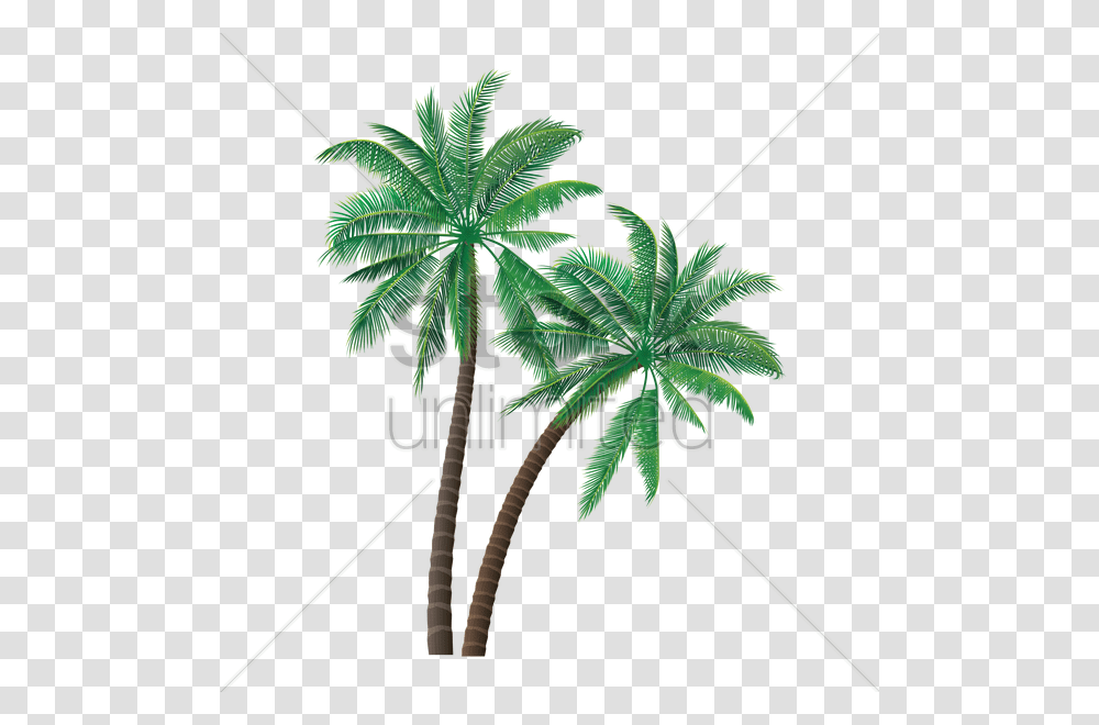 Coconut Tree Vector Image, Palm Tree, Plant, Arecaceae, Leaf Transparent Png
