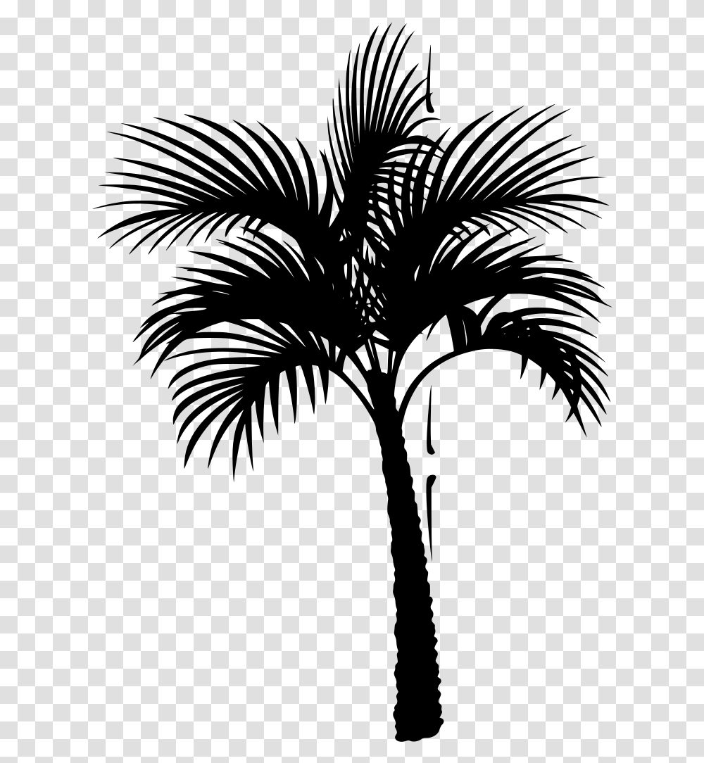 Coconut Tree Vector Palm Tree Pic Vector, Gray, World Of Warcraft Transparent Png