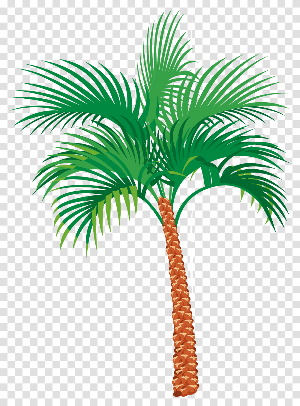 Coconut Tree Vector, Palm Tree, Plant, Arecaceae, Dinosaur Transparent Png