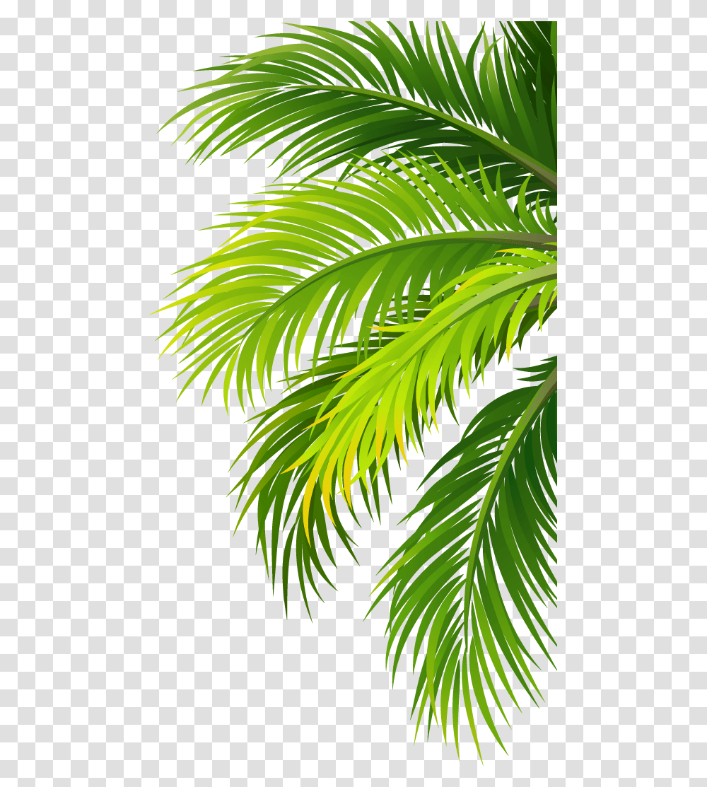 Coconut Water Air Filter Plant Leaf Palm Tree, Green, Vegetation, Fern, Bush Transparent Png