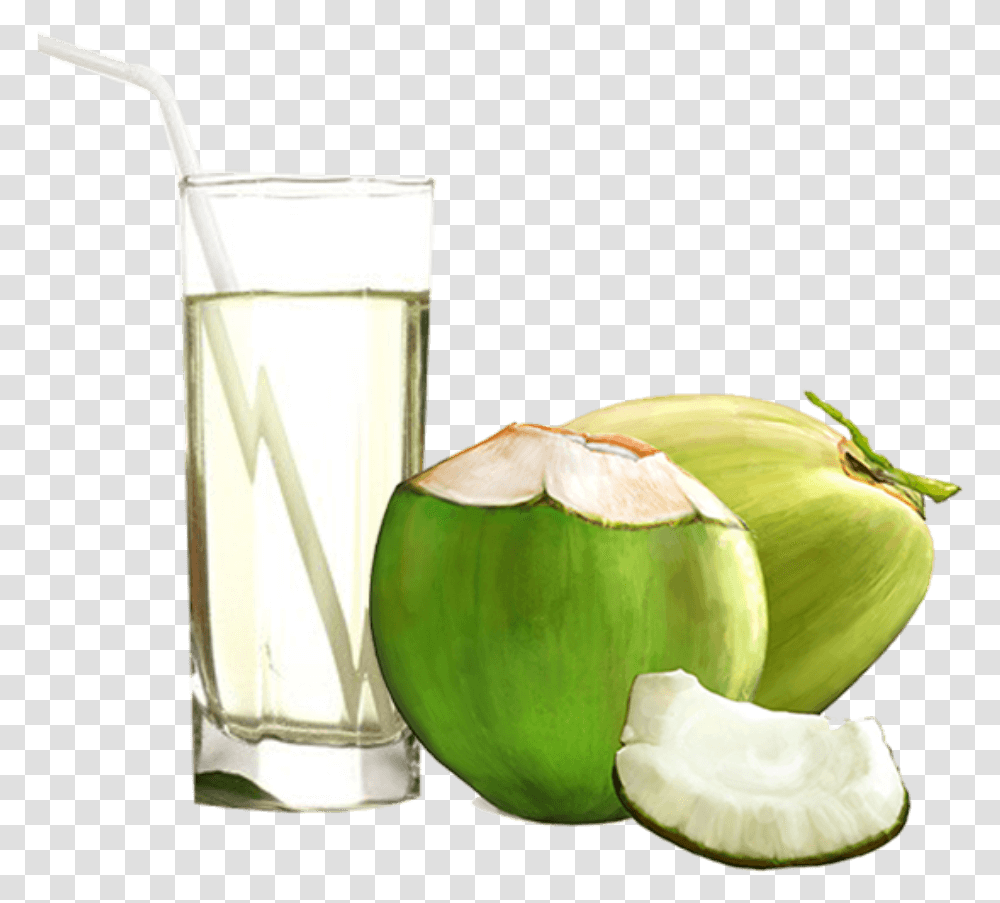 Coconut Water, Plant, Vegetable, Food, Fruit Transparent Png