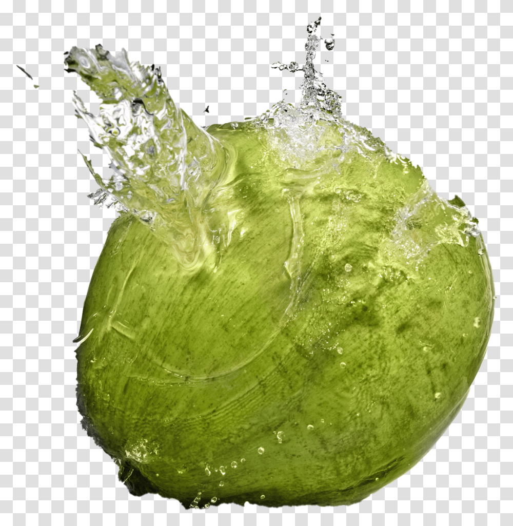 Coconut Water Splash Free Download Coconut Water, Plant, Pineapple, Fruit, Food Transparent Png